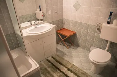 a bathroom with a toilet and a sink at Apartma Smole in Kranjska Gora