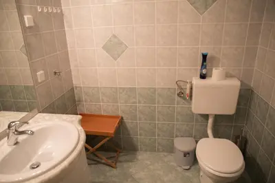 a bathroom with a toilet and a sink at Apartma Smole in Kranjska Gora