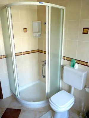 a bathroom with a shower and a toilet at Apartments Green Paradise in Bohinjska Bela