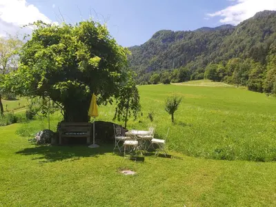 a table and chairs under a tree in a field at Apartments Green Paradise in Bohinjska Bela