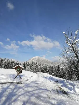 a bird house in the snow with a mountain in the background at Apartma Lesjak - pobeg v naravo 2 in Šmihel nad Mozirjem