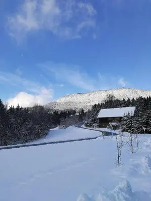 a snow covered field with a building in the background at Apartma Lesjak - pobeg v naravo 2 in Šmihel nad Mozirjem