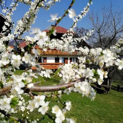 Apartma Lesjak - pobeg v naravo 2