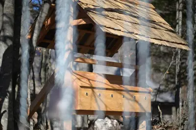 a wooden bird house in the woods at Chalet Košutnik Velika planina in Kamniška Bistrica