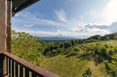 a balcony with a view of a field and trees at Cosy Hill Home Rucman With a Breathtaking View in Zgornja Pohanca