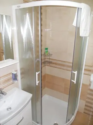 a shower with a glass door next to a sink at Guest House Goršič in Grosuplje
