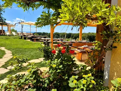 a group of tables and umbrellas in a garden at Turistična Kmetija Puklavec in Zasavci