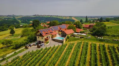 an aerial view of a house with a vineyard at Turistična Kmetija Puklavec in Zasavci