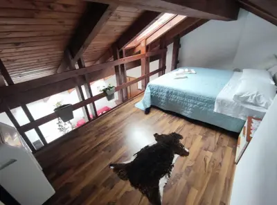 a black dog standing in a room with a bed at Apartments Vila Bovec in Bovec