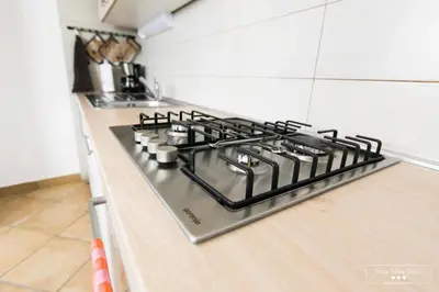 a stove top oven sitting on top of a kitchen counter at Amber STUDIO in Kobarid