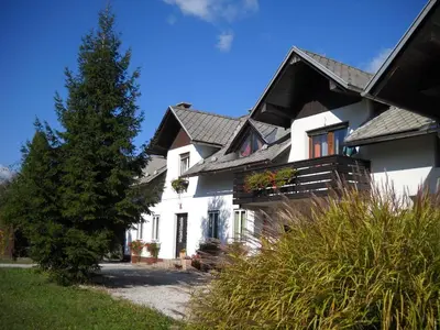 a white house with a tree in front of it at Apartma Eli in Bled