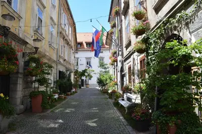 an alley in an old town with flowers and flags at Codelli Deluxe City Centre Apartments in Ljubljana