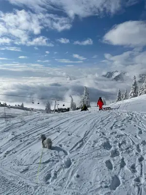 a group of people skiing on a snow covered slope at Velika Planina Koča Kekec in Stahovica