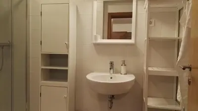 a bathroom with a sink and a mirror at Gorenjka in Kranjska Gora