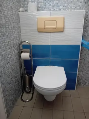 a bathroom with a white toilet and blue walls at Dolenjska vila with Private Sauna in Žužemberk