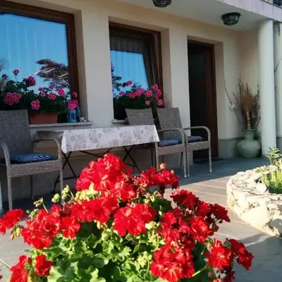 Dolenjska vila with Private Sauna