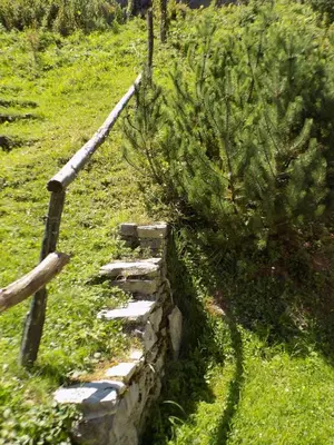 a stone wall in the grass next to a fence at Holiday Home Na planini in Tolmin