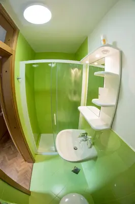 a green bathroom with a sink and a shower at A Million Dollar View in Kranjska Gora