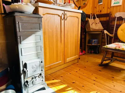 a kitchen with an old stove in a room at House for nature lovers in Medvode