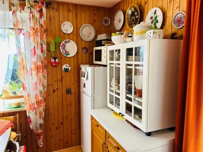 a kitchen with a white refrigerator and plates on the wall at House for nature lovers in Medvode