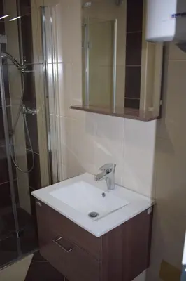a bathroom with a sink and a shower at Borovnica Čatež in Čatež ob Savi