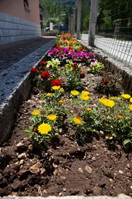a flower garden with colorful flowers in the dirt at Apartma Lesjak 1 in Bovec