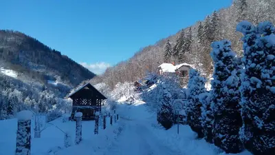 a road covered in snow with a house and trees at Turistična kmetija Weiss in Miklavž pri Taboru