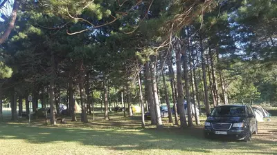 a car parked in front of a group of trees at Apartma Kamp Ajdovščina in Ajdovščina