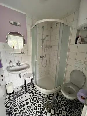 a bathroom with a shower and a sink and a toilet at Villa Mint&Lavender ID1O1674 in Bled