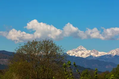 a view of snow covered mountains with a tree at Sobe Meta in Brezje
