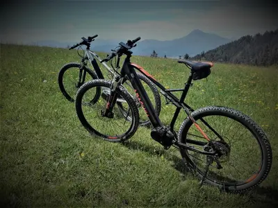 two bikes parked in a field of grass at Razborca in Mislinja