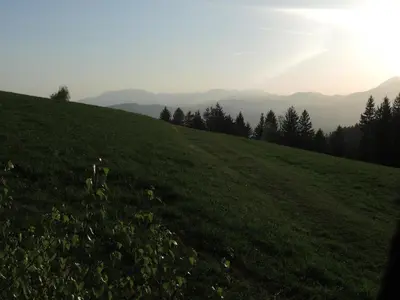 a grassy hill with trees and mountains in the background at Razborca in Mislinja