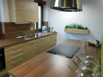 a kitchen with a sink and a wooden counter top at Hostel Bearlog Kočevje in Kočevje