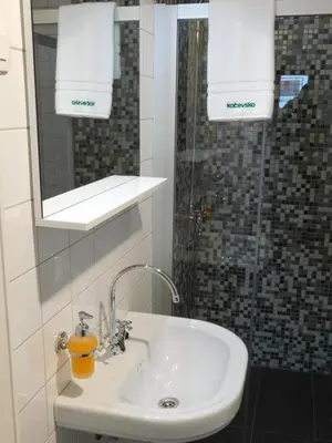 a bathroom with a sink and a mirror and towels at Hostel Bearlog Kočevje in Kočevje
