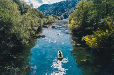 a boat in the middle of a river with trees at Hostel Bearlog Kočevje in Kočevje