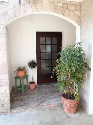 a entrance to a house with two potted plants at Pri Mlinarju in Tolmin