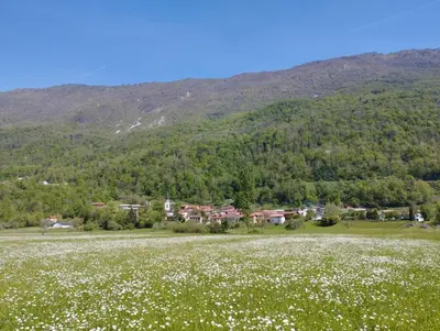 a field of flowers in front of a mountain at Apartments Ten Sen in Kobarid