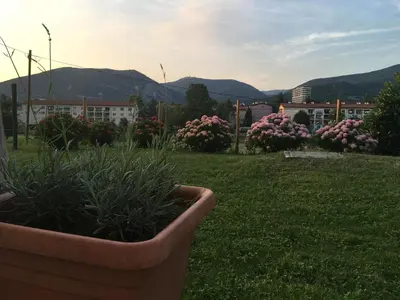 a pot of plants in a yard with flowers at Apartment Nova Gorica - Nočitve Falco in Nova Gorica