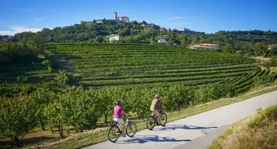 two people riding bikes down a road near a field at Apartment Nova Gorica - Nočitve Falco in Nova Gorica