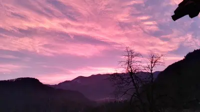 a sunset in the mountains with a tree at Apartments Bernarda in Bled