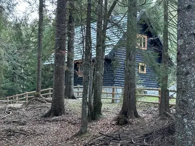 a log cabin in the middle of the woods at Cosy Lodge Pokljuka in Goreljek