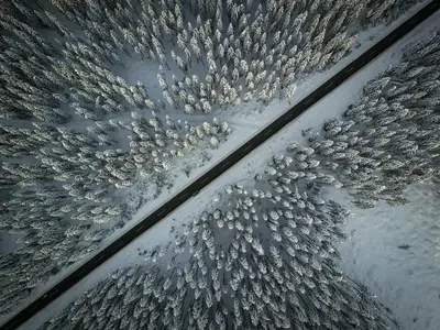 an overhead view of a group of trees in the snow at Cosy Lodge Pokljuka in Goreljek