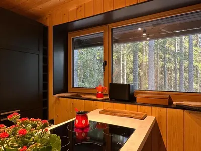 a kitchen with a sink and a window with trees at Cosy Lodge Pokljuka in Goreljek