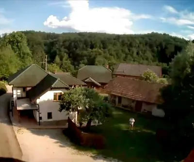 an aerial view of a house with trees at Apartma Obrh in Smarjeske Toplice
