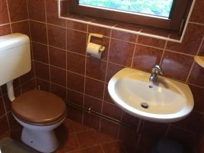 a bathroom with a toilet and a sink and a window at Apartma Gracner in Bled