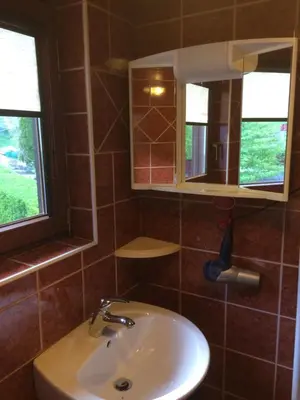 a bathroom with a sink and two windows at Apartma Gracner in Bled