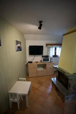 a living room with a fireplace and a tv at Apartma Gracner in Bled