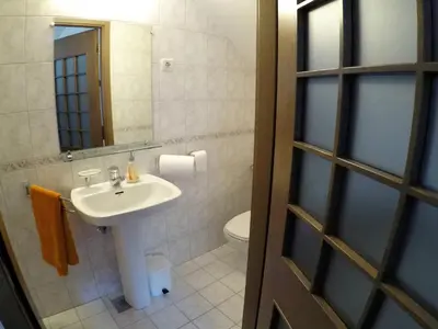 a bathroom with a sink and a toilet at Karami Mountainhouse in Tržič