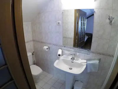 a bathroom with a sink and a toilet and a mirror at Karami Mountainhouse in Tržič