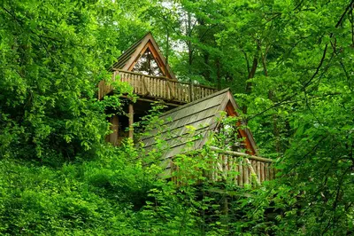 a tree house in the middle of the forest at Glamping Savinja in Ljubno